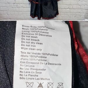 Black & Red Dress Costume